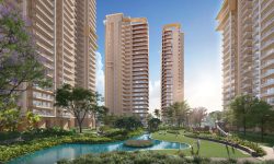 IVORY COUNTY GOLD oho homes